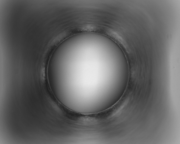 X0000089690633200707051625