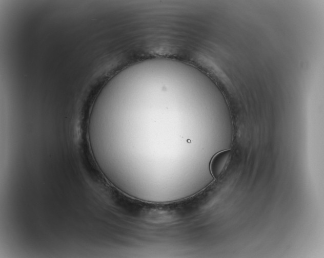 X0000089690635200707051625