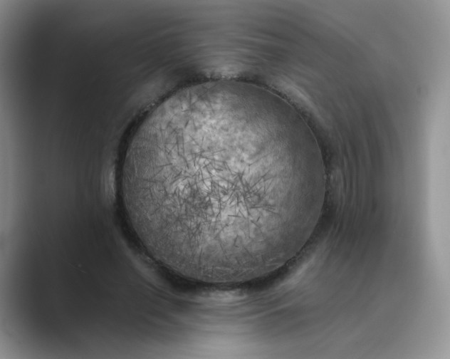 X0000089690638200707051625