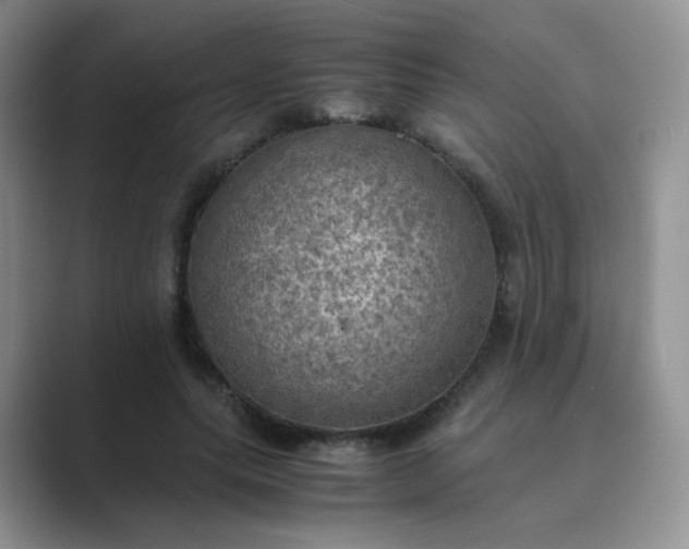 X0000089690639200707051625