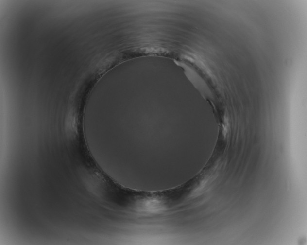 X0000089690643200707051625