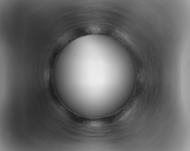 X0000089690645200707051625