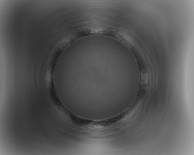 X0000089690648200707051625