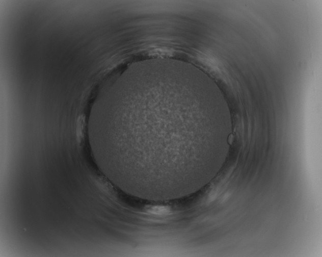 X0000089690649200707051625