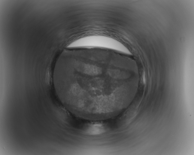 X0000089690651200707051625