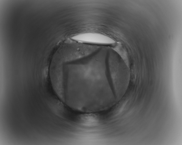 X0000089690652200707051625