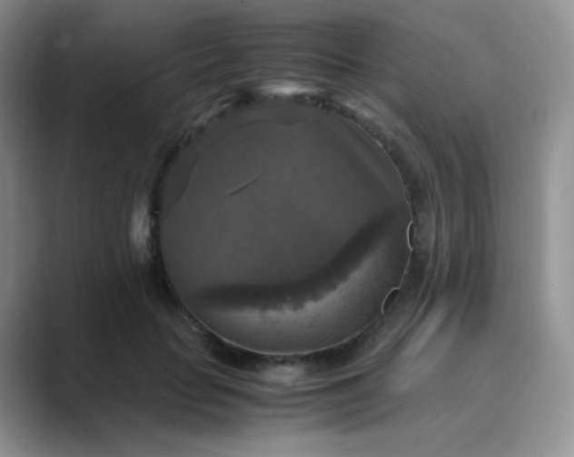 X0000089690653200707051625