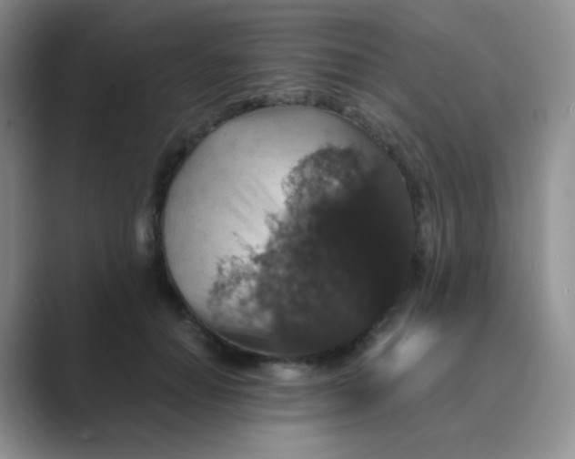 X0000089690654200707051625