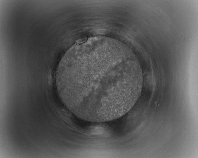 X0000089690655200707051625