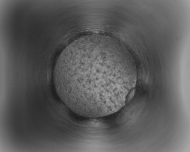 X0000089690656200707051625