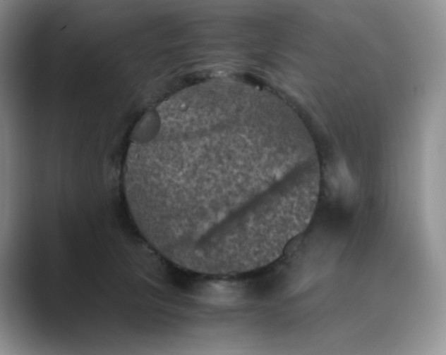 X0000089690657200707051625