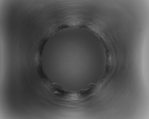 X0000089690659200707051626