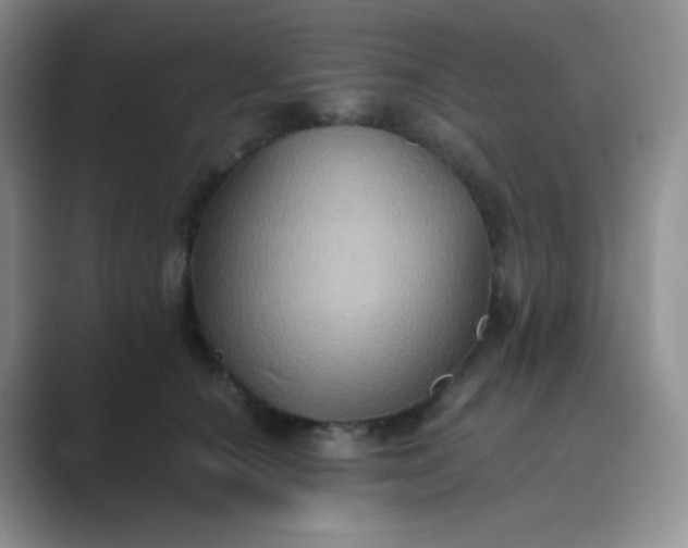 X0000089690660200707051626