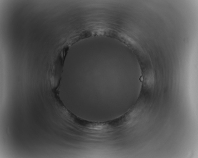 X0000089690661200707051626