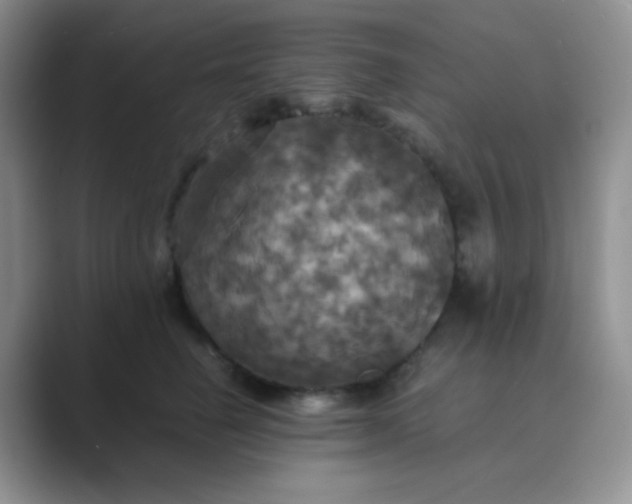 X0000089690662200707051626