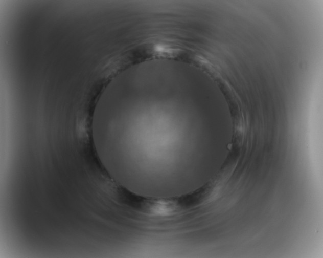 X0000089690663200707051626