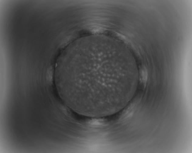 X0000089690664200707051626