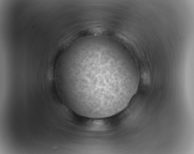 X0000089690665200707051626