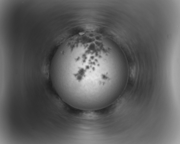 X0000089690666200707051626