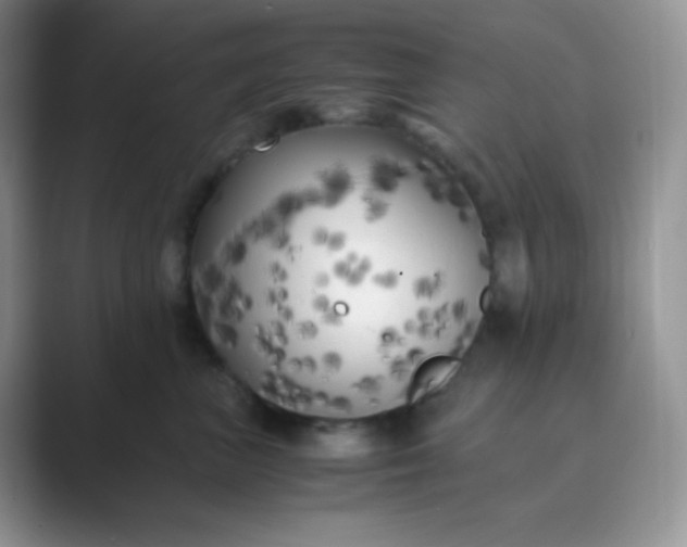 X0000089690667200707051626