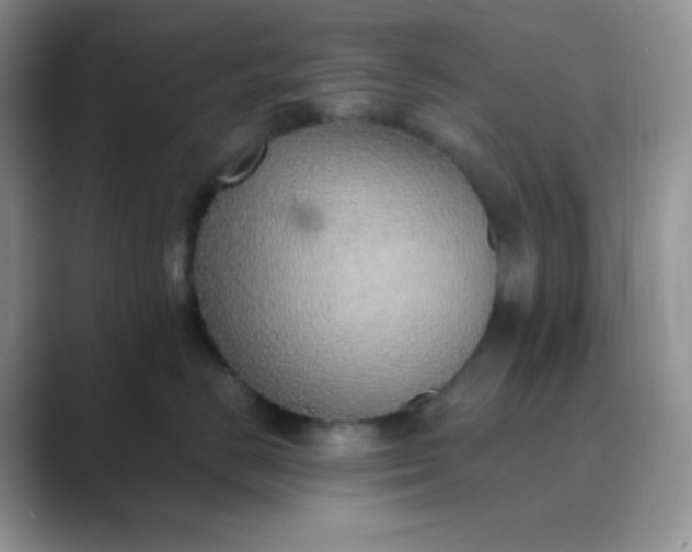 X0000089690670200707051626