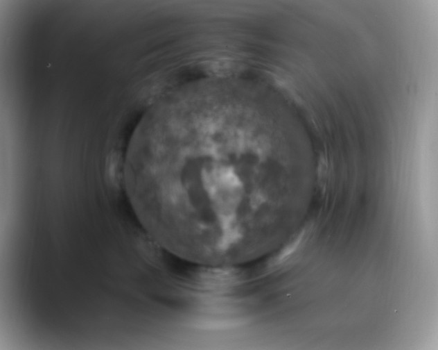 X0000089690671200707051626