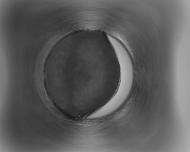 X0000089690673200707051625