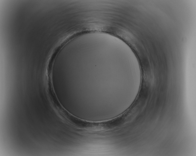 X0000089690674200707051625