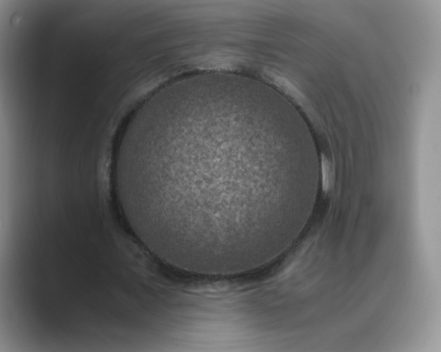 X0000089690675200707051625