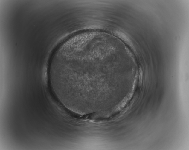 X0000089690676200707051625