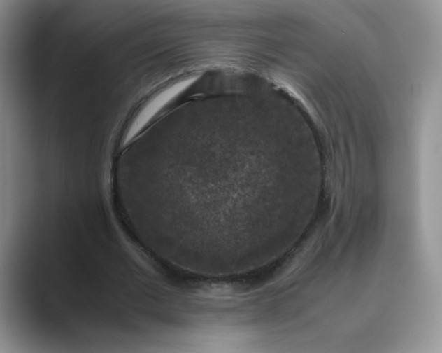 X0000089690677200707051625