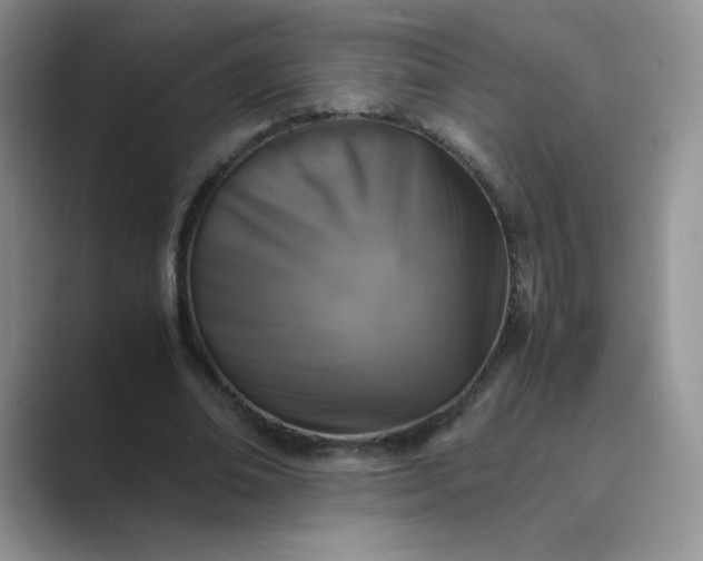 X0000089690678200707051625