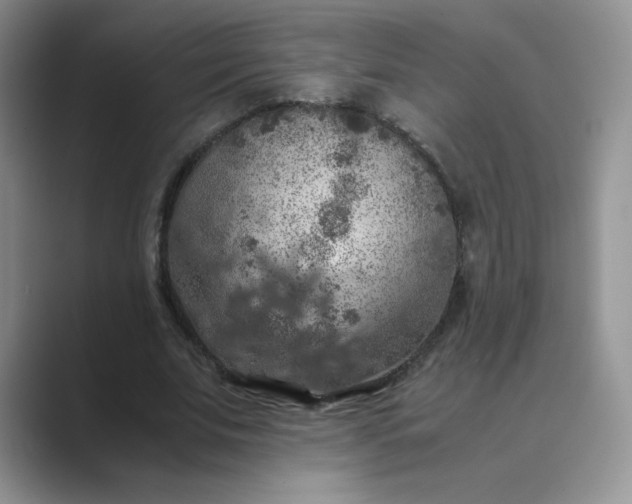 X0000089690679200707051625