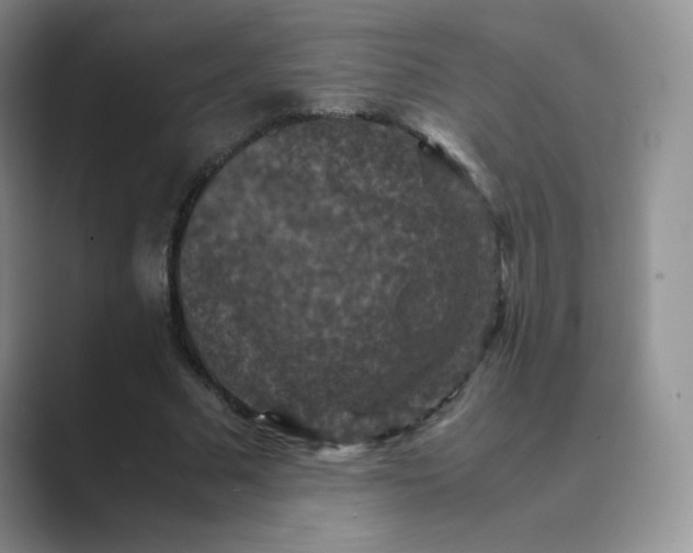 X0000089690681200707051625