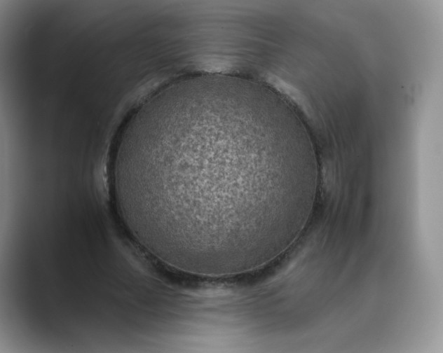 X0000089690682200707051625