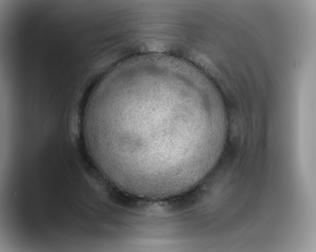 X0000089690683200707051625