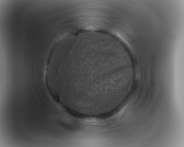 X0000089690685200707051625