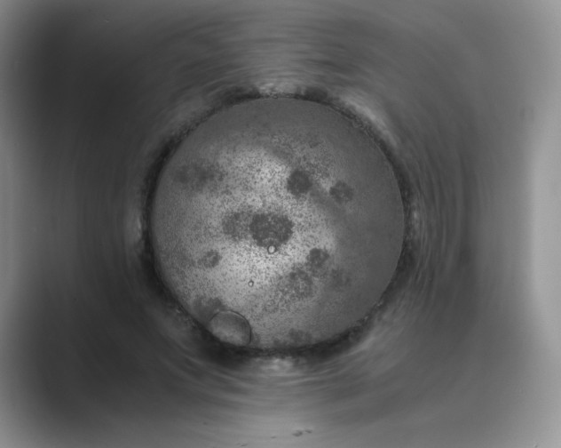 X0000089690687200707051625