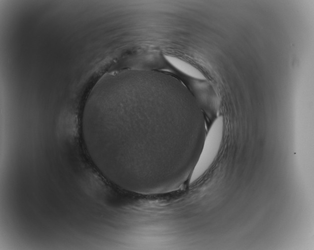 X0000089690689200707051625