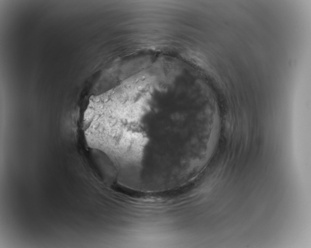 X0000089690691200707051625