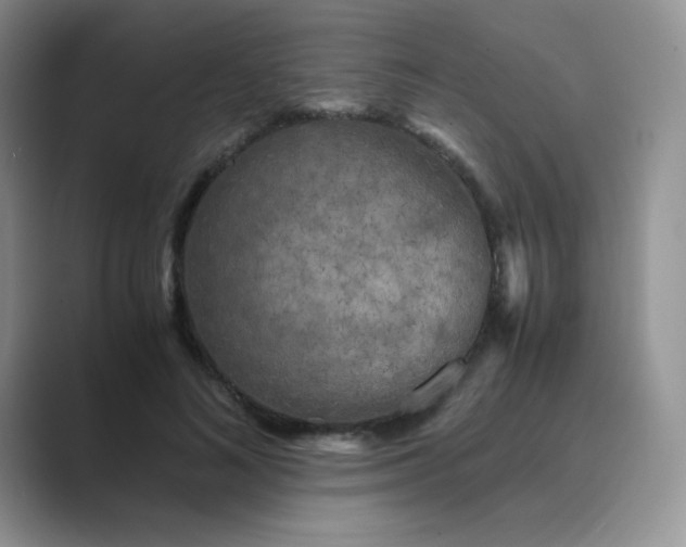 X0000089690692200707051625