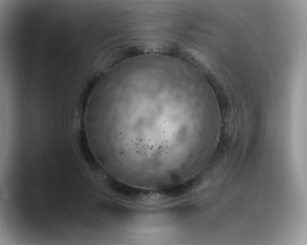 X0000089690695200707051625