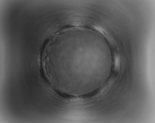 X0000089690696200707051625