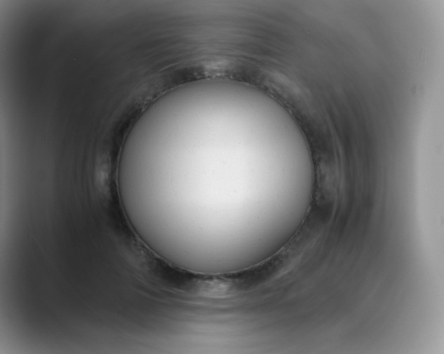 X0000089690698200707051625