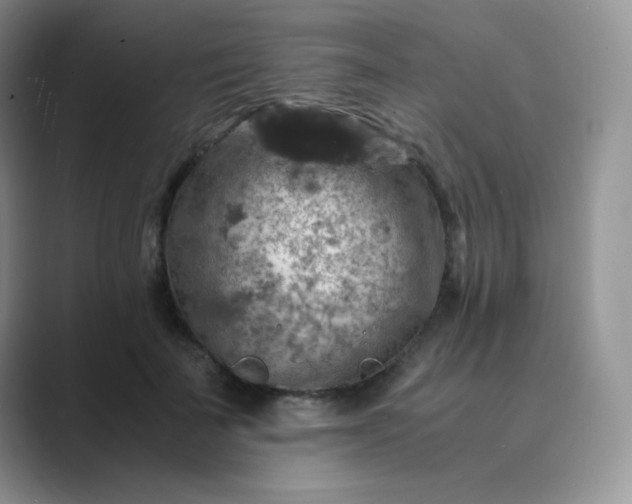 X0000089690699200707051625