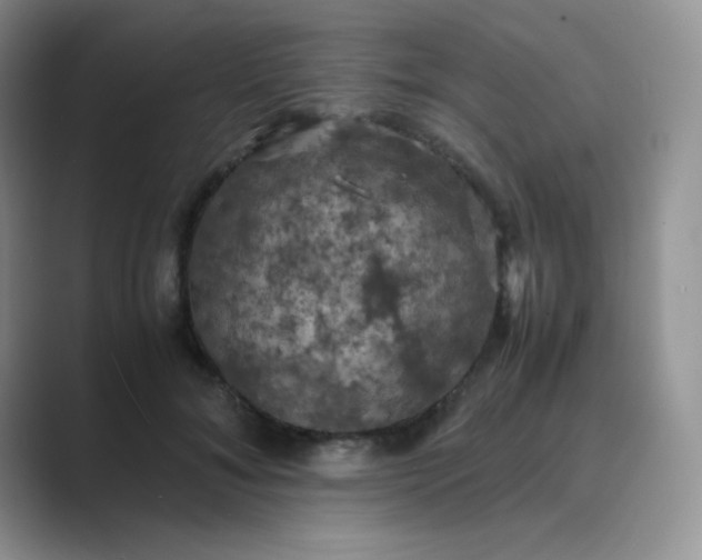 X0000089690700200707051625