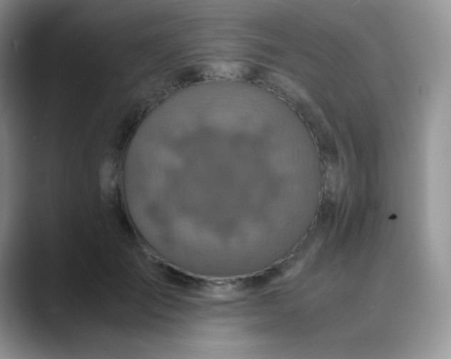 X0000089690701200707051625