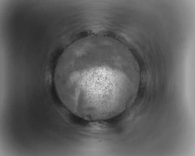 X0000089690703200707051625