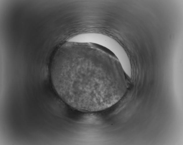 X0000089690704200707051625