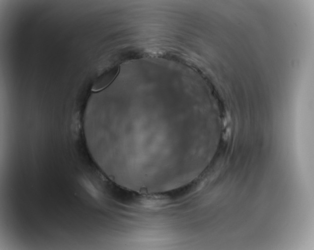 X0000089690707200707051625